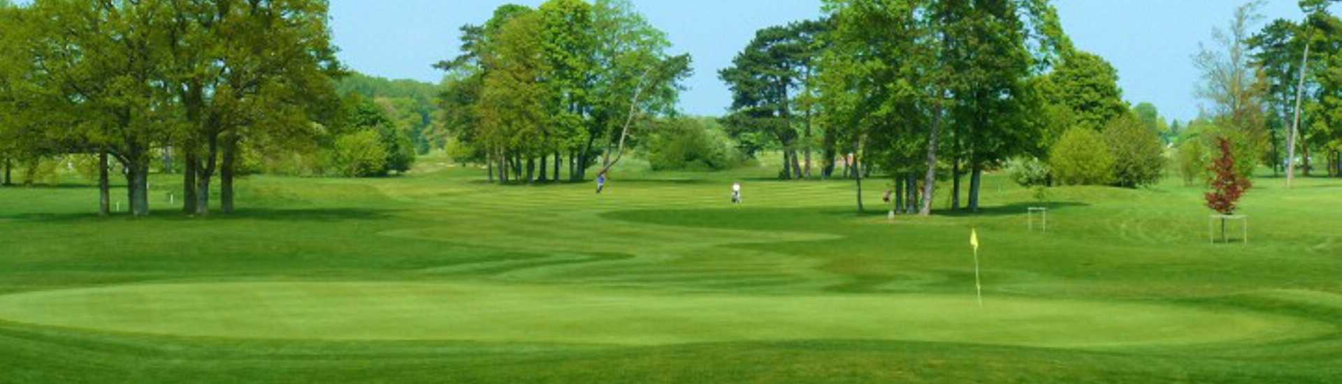 NETWORK.golf ¦ The Springs